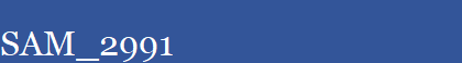 SAM_2991
