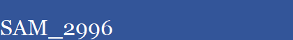 SAM_2996