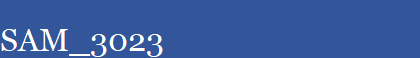 SAM_3023