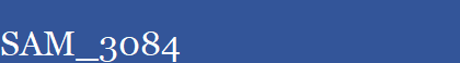 SAM_3084