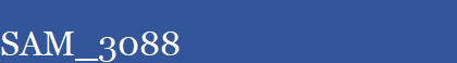 SAM_3088