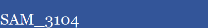 SAM_3104