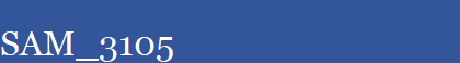 SAM_3105