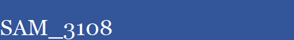 SAM_3108